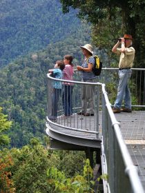 Mamu Tropical Skywalk - Accommodation QLD 2