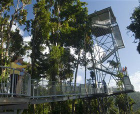 Mamu Tropical Skywalk - Accommodation QLD 1