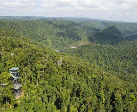 Mamu Tropical Skywalk - Accommodation QLD 3