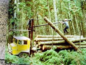 Nangwarry Forestry And Logging Museum - Accommodation QLD 3