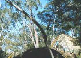 Dergholm VIC Accommodation QLD