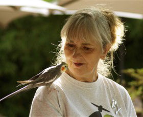 Yando ACT Accommodation QLD