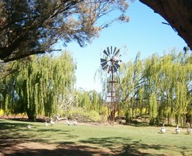 Simply Tomatoes - Accommodation QLD 7