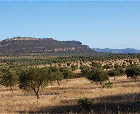Grampians Olive Co. (Toscana Olives) - Accommodation QLD 1