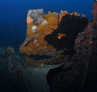 Lady Bowen Dive Site - Accommodation QLD
