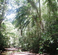 Mount Lewis National Park - Accommodation QLD