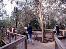 Valley Lake Conservation Park - Accommodation QLD 1