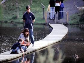 Valley Lake Conservation Park - Accommodation QLD 2