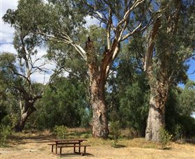 Bob Christensen Reserve - Accommodation QLD 2