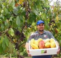 Sweet Farm Tours - Accommodation QLD