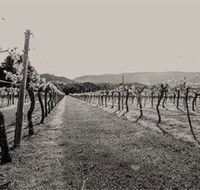 Halls Gap Estate - Accommodation QLD