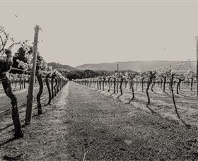 Halls Gap Estate - Accommodation QLD 0