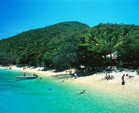 Fitzroy Island National Park - Accommodation QLD 2