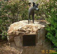 Dingo Statue - Accommodation QLD