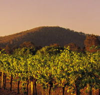 Taltarni Vineyards - Accommodation QLD
