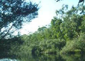 Breakaway Creek ACT Accommodation QLD