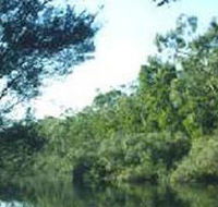 Crawford River Regional Park - Accommodation QLD