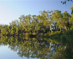 IWaterSki - Accommodation QLD 0