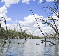 Murrumbidgee Valley National Park - Accommodation QLD