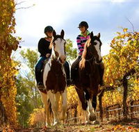 Billabong Ranch - Accommodation QLD