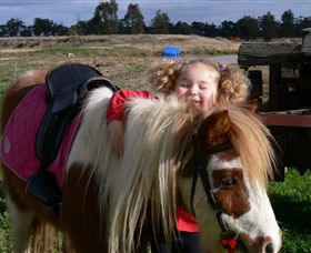 Billabong Ranch - Accommodation QLD 1