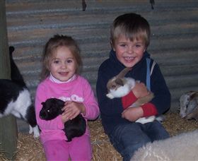 Billabong Ranch - Accommodation QLD 3