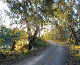 Alton Gallery - Echuca Moama Artists - Accommodation QLD 0