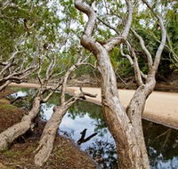 Oyala Thumotang National Park CYPAL - Accommodation QLD