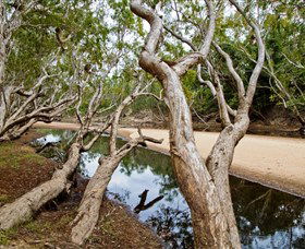 Oyala Thumotang National Park (CYPAL) - Accommodation QLD 0