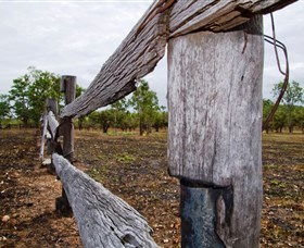 Oyala Thumotang National Park (CYPAL) - Accommodation QLD 1