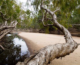 Oyala Thumotang National Park (CYPAL) - Accommodation QLD 3