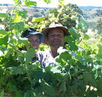 Wimmera Hills Winery - Accommodation QLD