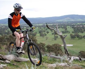 Wimmera Hills Winery - Accommodation QLD 2