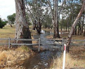 Mackereth's Hedon Farm - Accommodation QLD 2