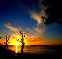 Lake Cowal - Accommodation QLD