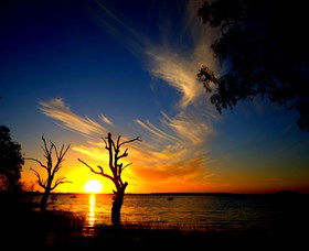 Lake Cowal - Accommodation QLD 0