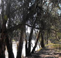 Mia Forest Drives Narrandera - Accommodation QLD