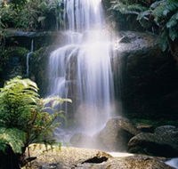 Mount Buangor State Park - Accommodation QLD