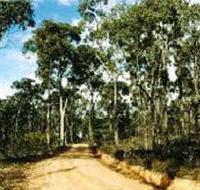 Paddys Ranges State Park - Accommodation QLD