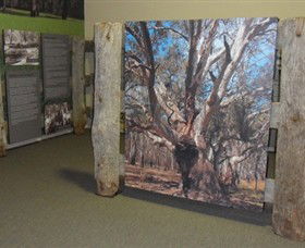 Barmah Forest Heritage And Education Centre - Accommodation QLD 2
