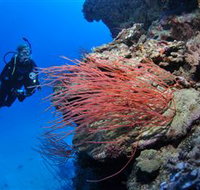 Three Sisters Dive Site