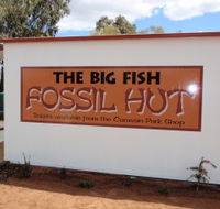 Big Fish Fossil Hut at Peak Hill - Accommodation QLD