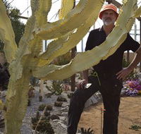 Cactus Country - Accommodation QLD