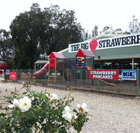 The Big Strawberry - Accommodation QLD