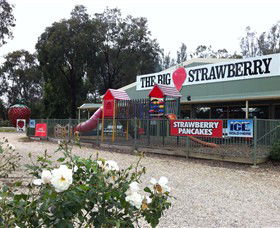 The Big Strawberry - Accommodation QLD 0