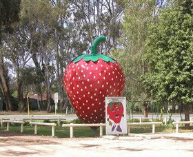 The Big Strawberry - Accommodation QLD 1