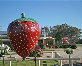 The Big Strawberry - Accommodation QLD 2