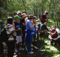 Warrumbungle National Park Discovery Program - Accommodation QLD