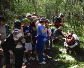 Warrumbungle National Park Discovery Program - Accommodation QLD 0