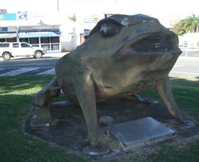 Big Cane Toad - Accommodation QLD 0